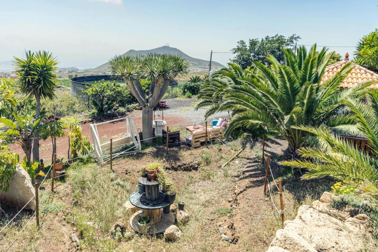 Apartamento B Armonia Rural Granadilla De Abona Ngoại thất bức ảnh